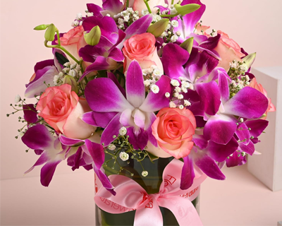 FlowerAura Premium Fresh Live Flower Bouquet of 12 Pink Roses